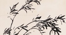民航商务师 招生简章