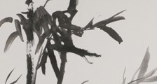 潜水工程师 招生简章