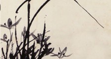 民航运输管理师 招生简章